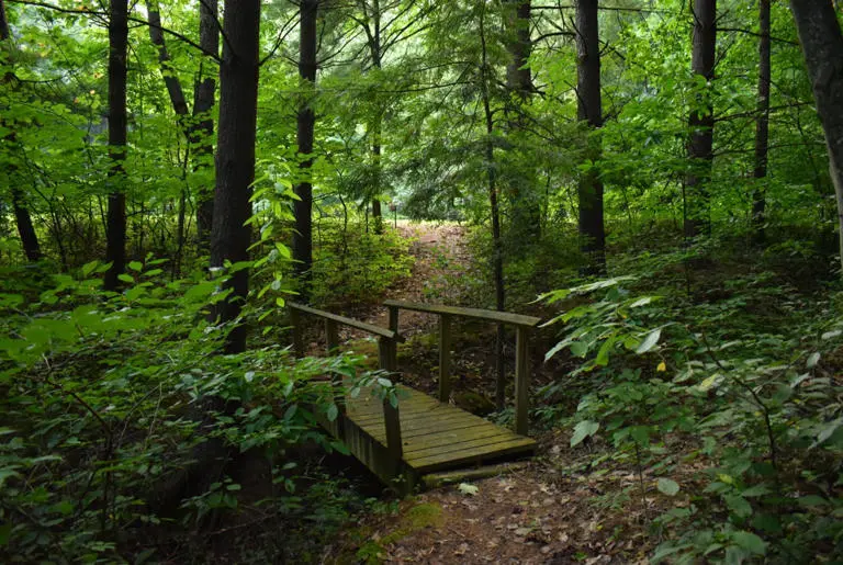 Blue Log Cabin 1E0F2