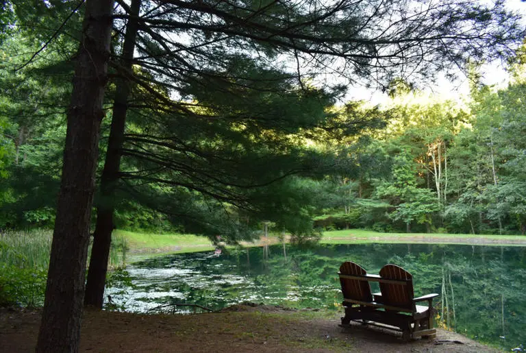 Blue Log Cabin 298A4