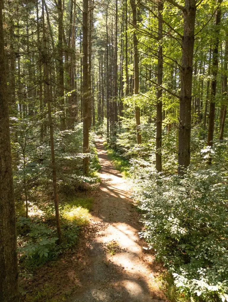 Blue Log Cabin 41679