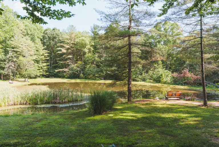 Green Log Cabin D120A Green Log Cabin D120A