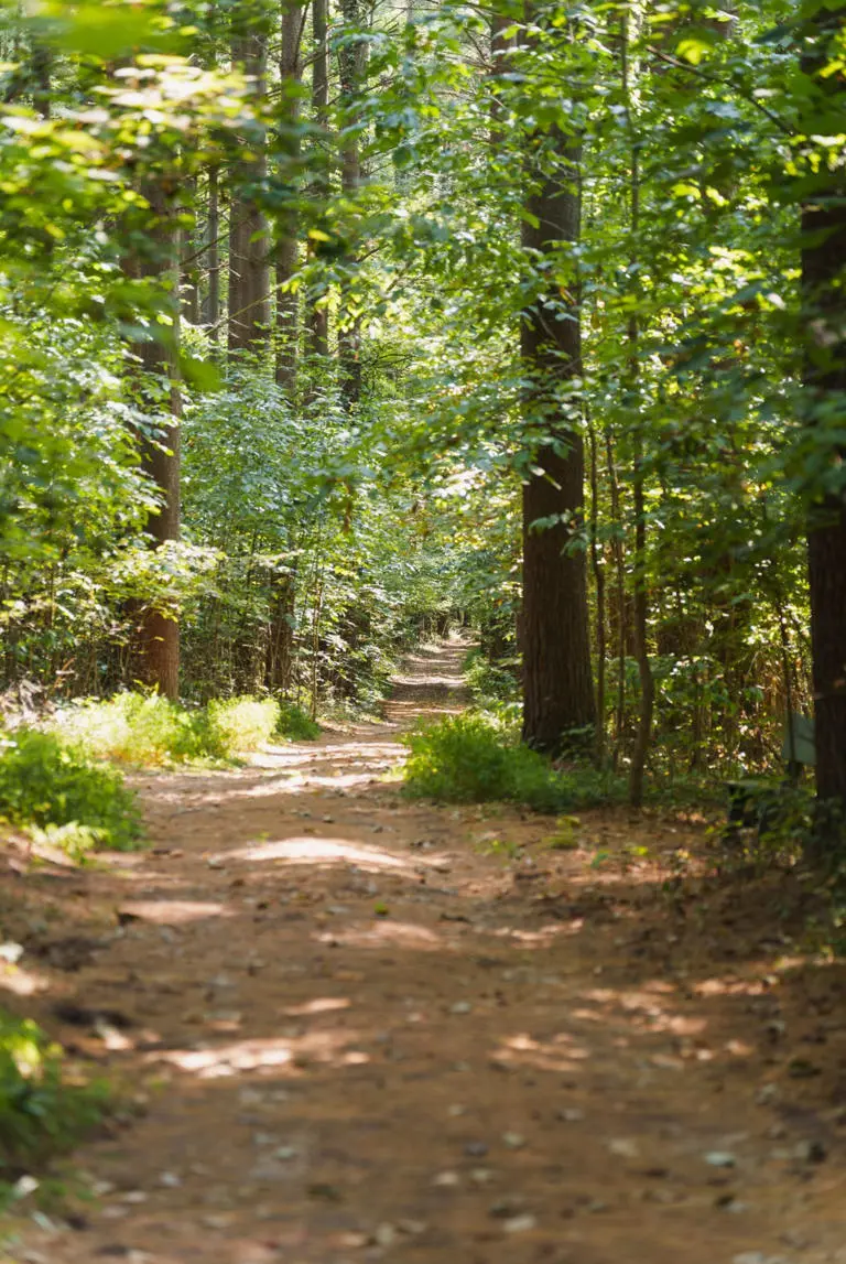 Hitchin Post Hocking Hills